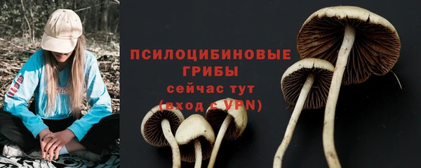 ECSTASY Михайлов