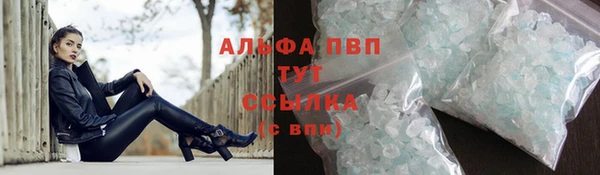 ECSTASY Михайлов