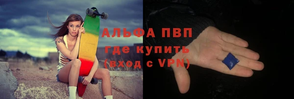 ECSTASY Михайлов