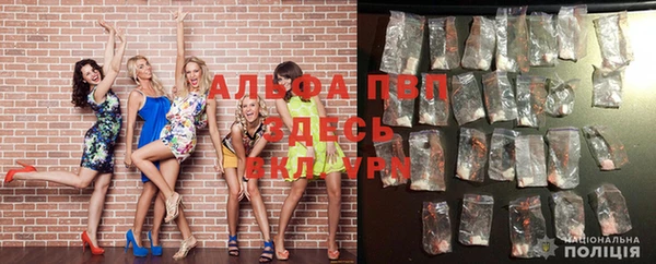 ECSTASY Михайлов