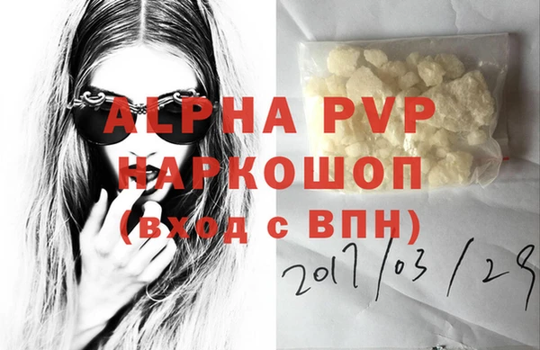 ECSTASY Михайлов