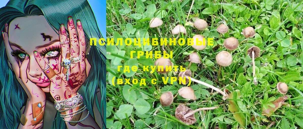 хмурый Михайловка