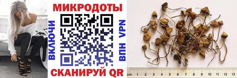 Галлюциногенные грибы мухоморы  Купить  Брянск 